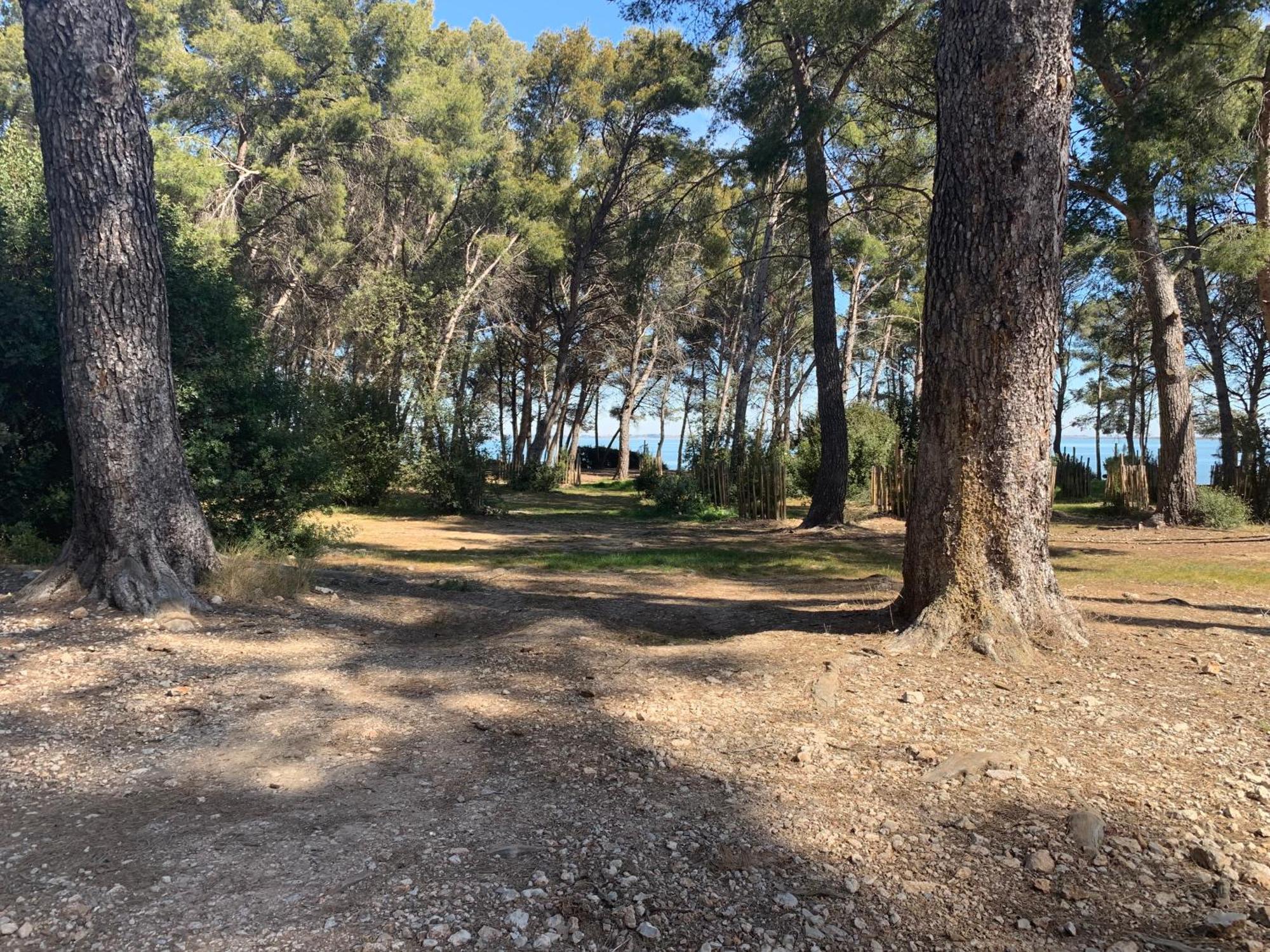 Maison de plage Frontignan Extérieur photo